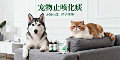 宠物止咳化痰产品批发渠道分析，宠物店老板进货参考