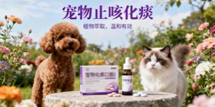 宠物专用止咳化痰原料供应解析，助力宠物店稳定进货渠道