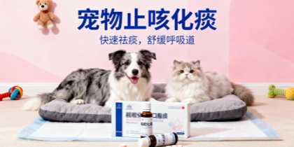狗狗止咳化痰用什么产品好？宠物店老板选货参考指南