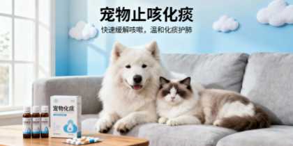 宠物店常备止咳化痰用品推荐，助力门店提升销售与服务